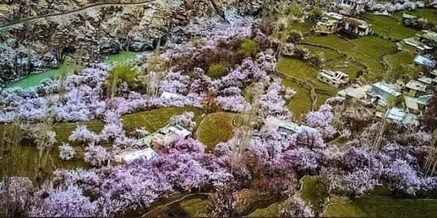 Aryan Valley, Ladakh: Best Time to Visit, Things to Do, How to Reach