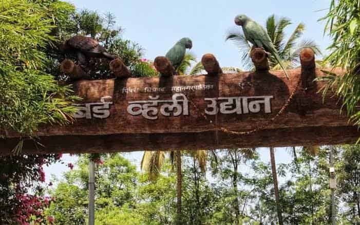 Bird Valley, Chinchwad