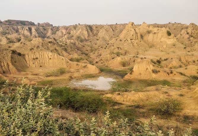 Chambal Valley, Madhya Pradesh: Best Time to Visit, Things to Do, How to Reach