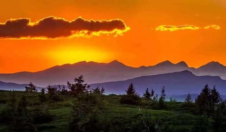 Dong Valley, Arunachal Pradesh: Best Time to Visit, Things to Do, How to Reach