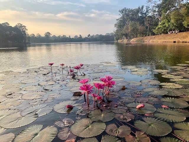 Gulawat Lotus Valley, Madhya Pradesh
