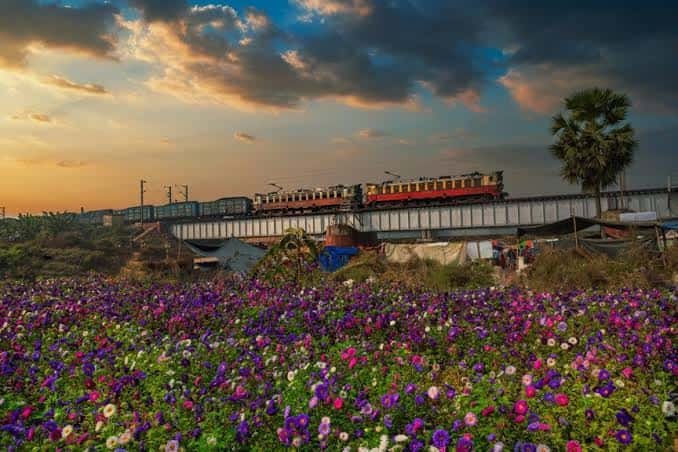 Khirai, Valley of Flowers, West Bengal