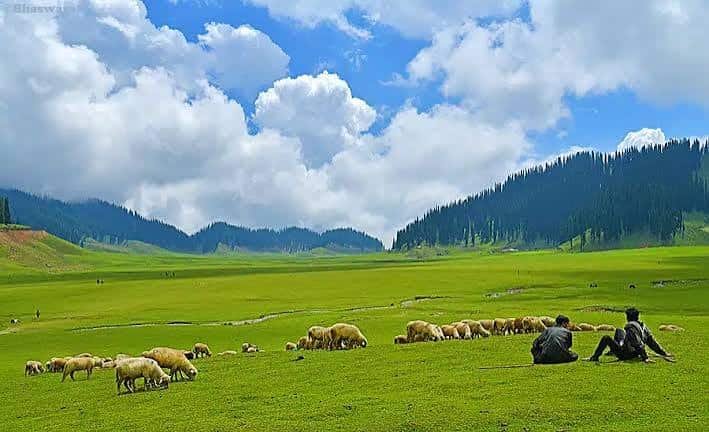 Lolab Valley, Jammu and Kashmir: Best Time to Visit, Things to Do, How to Reach