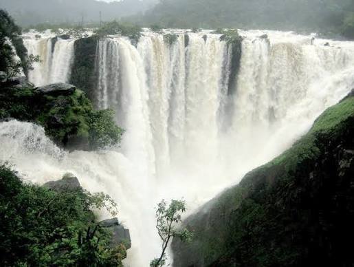 Sharavathi Valley, Karnataka: Best Time to Visit, Things to Do, How to Reach